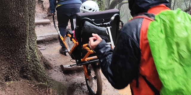 Hija Cambada (I). Subiendo escalera de troncos